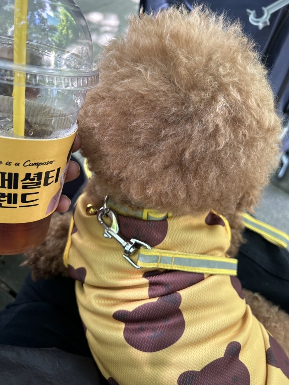 컴포즈커피 고양원당시장점 이미지