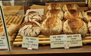 라비뛰드 이미지