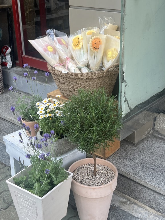홍대꽃이야기 이미지