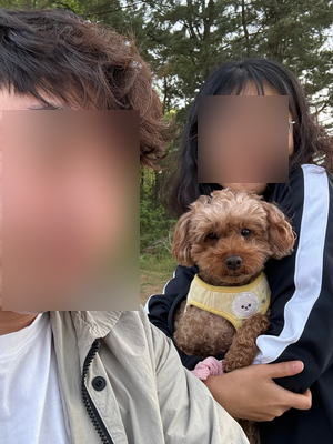 체로키캠핑장 이미지
