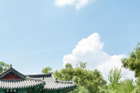 서원트레이딩 이미지