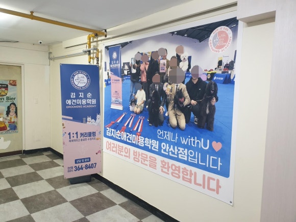 김지순애견미용학원 이미지