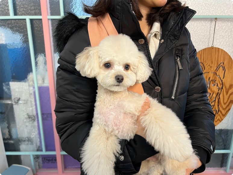 세종미용학원 이미지