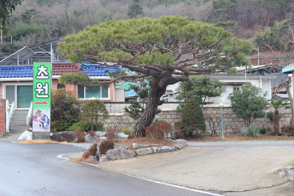 초원한우 이미지