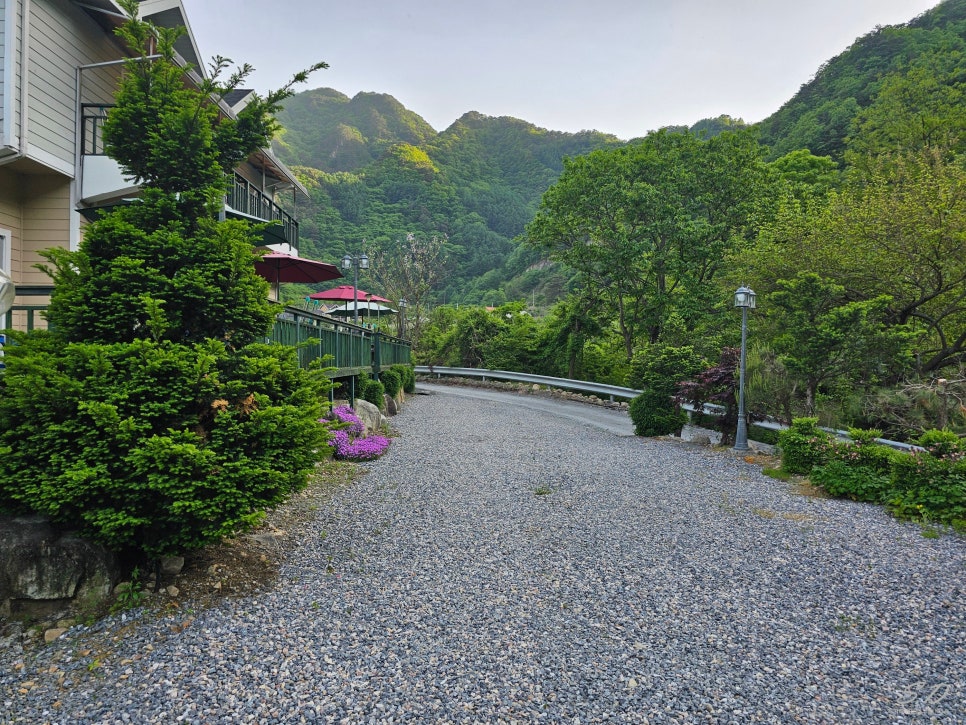 사랑애펜션 이미지