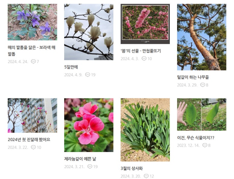희뚜루마뚜루 이미지