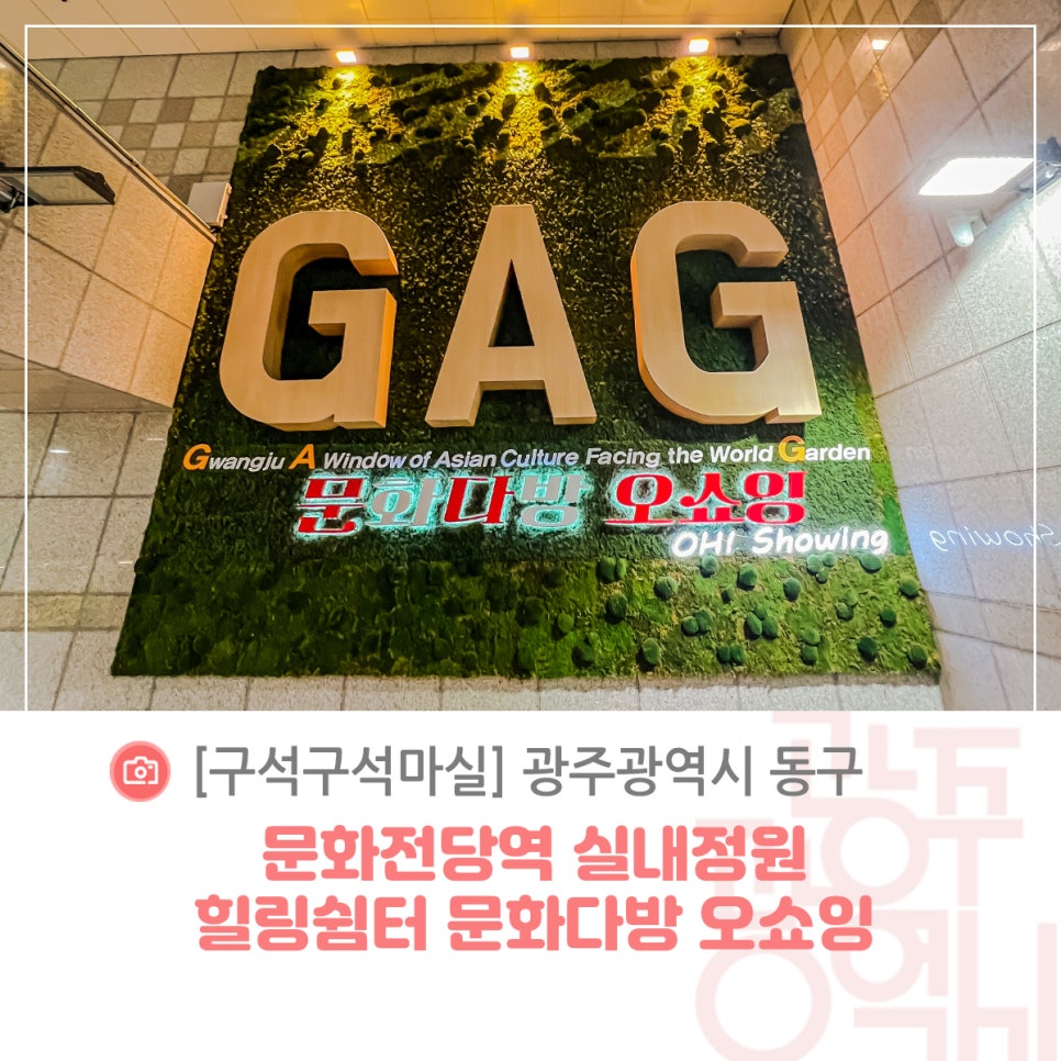 오쇼잉 이미지