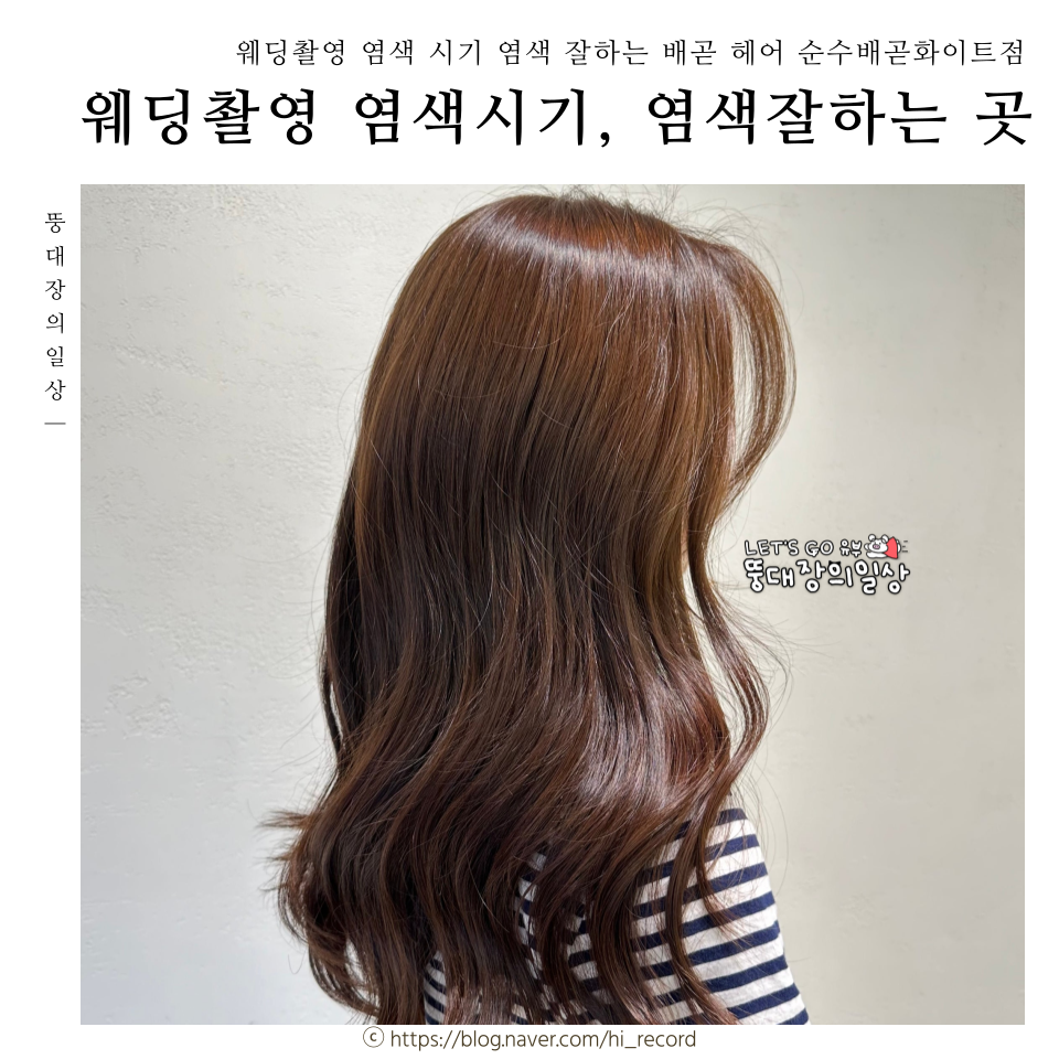순수배곧화이트점 이미지