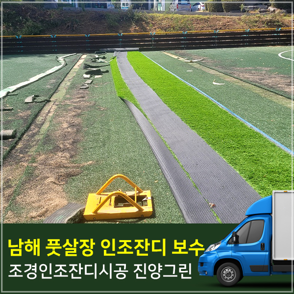 진양스포츠 이미지