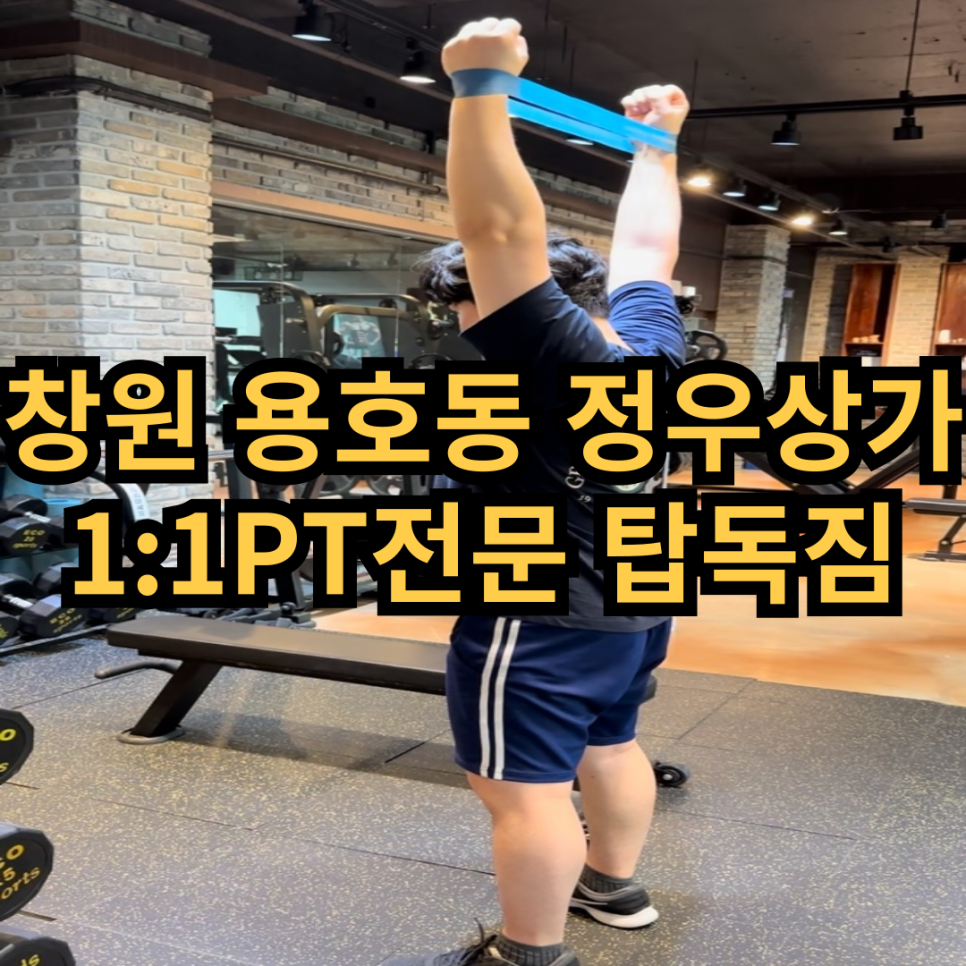 탑독짐 이미지