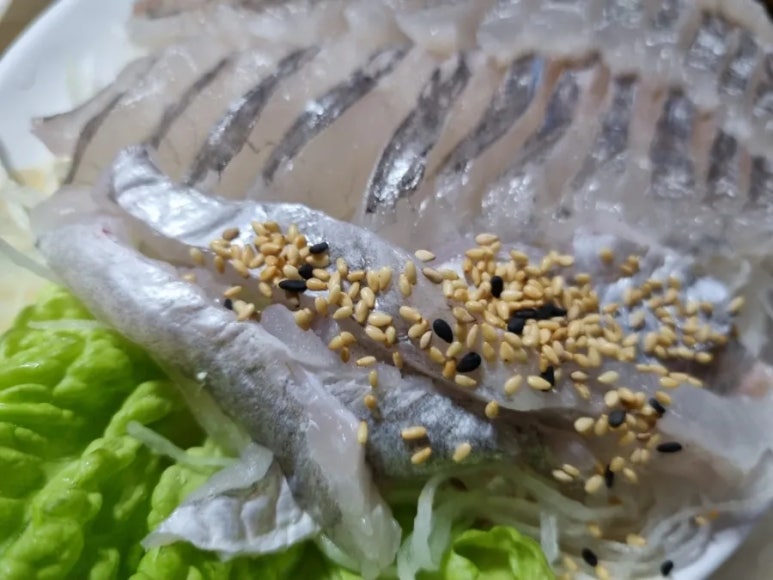 바로잡어 이미지