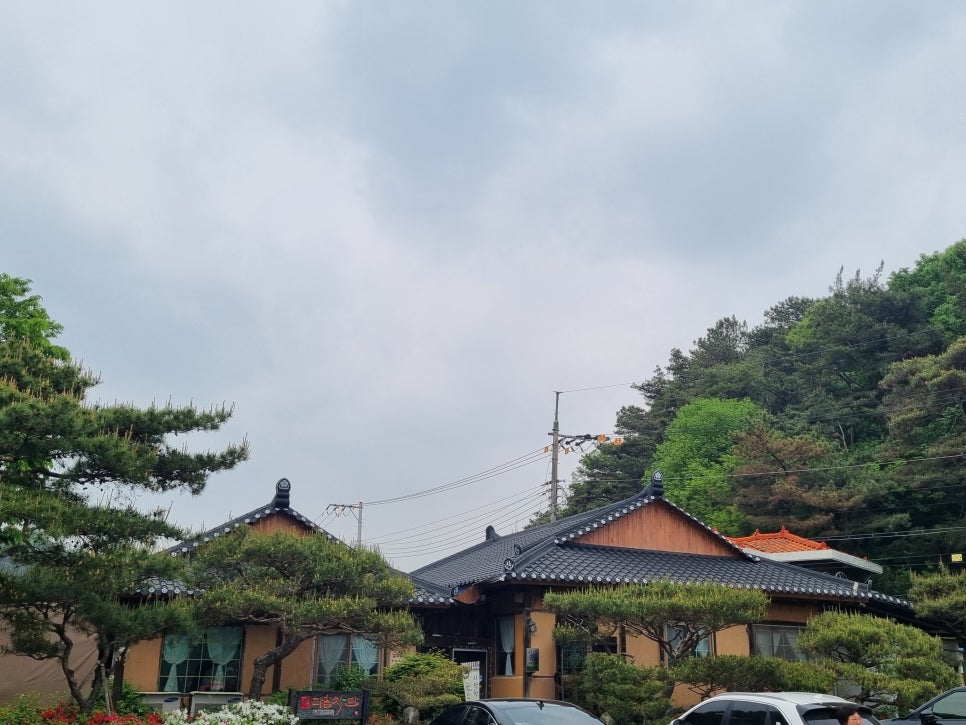 다솜차반 이미지