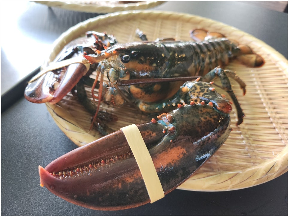 별빛포차 이미지
