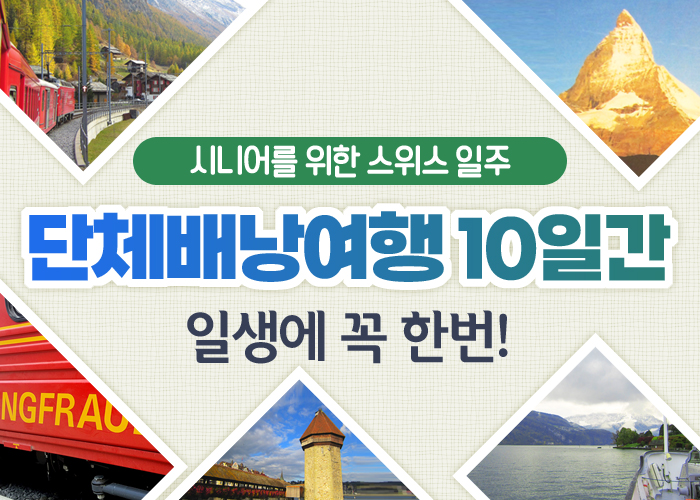 월드 문화투어 이미지