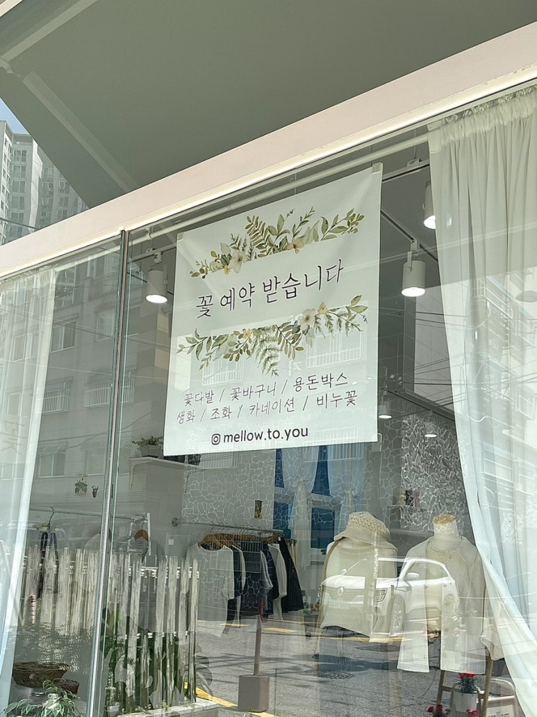 멜로우투유 이미지