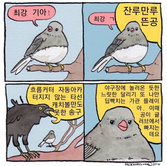 돈불랑 이미지