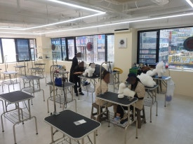 김지순애견미용학원 이미지