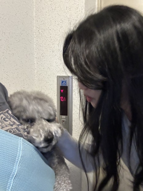 광호전기 이미지