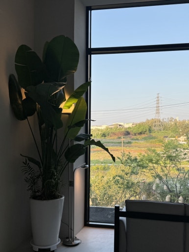 카페지제 이미지
