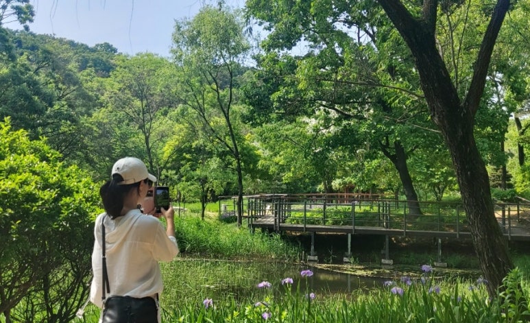 숙이언니 이미지