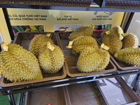 백과아시아마트 이미지