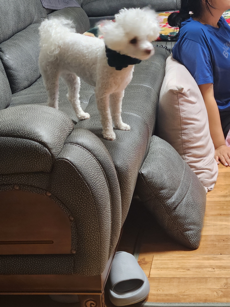 BHC치킨 다정점 이미지