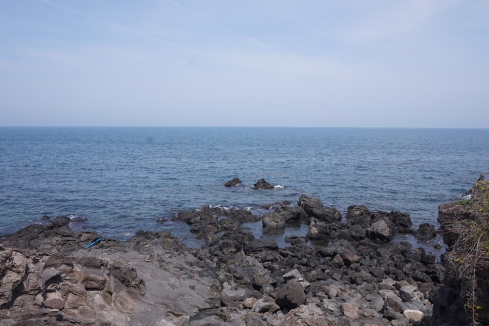 바다네 식당·반찬 이미지