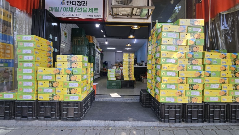 단디청과 이미지