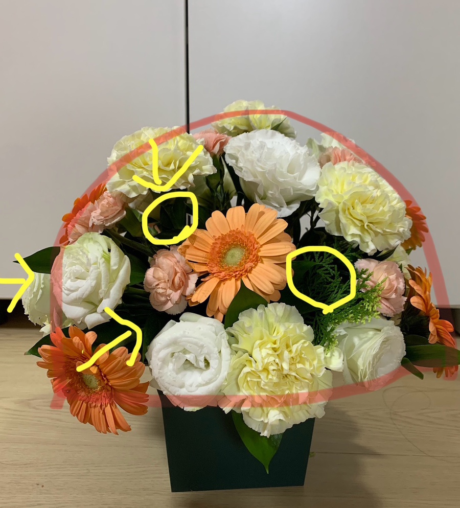 도도플레르 이미지