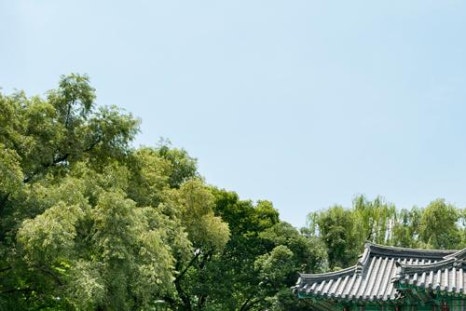 서원트레이딩 이미지