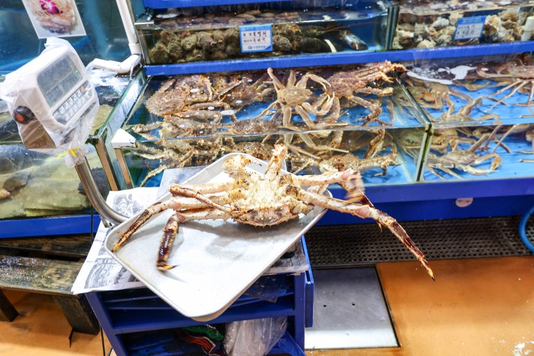 정이수산 이미지