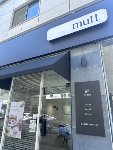 무티티(mutt) 이미지