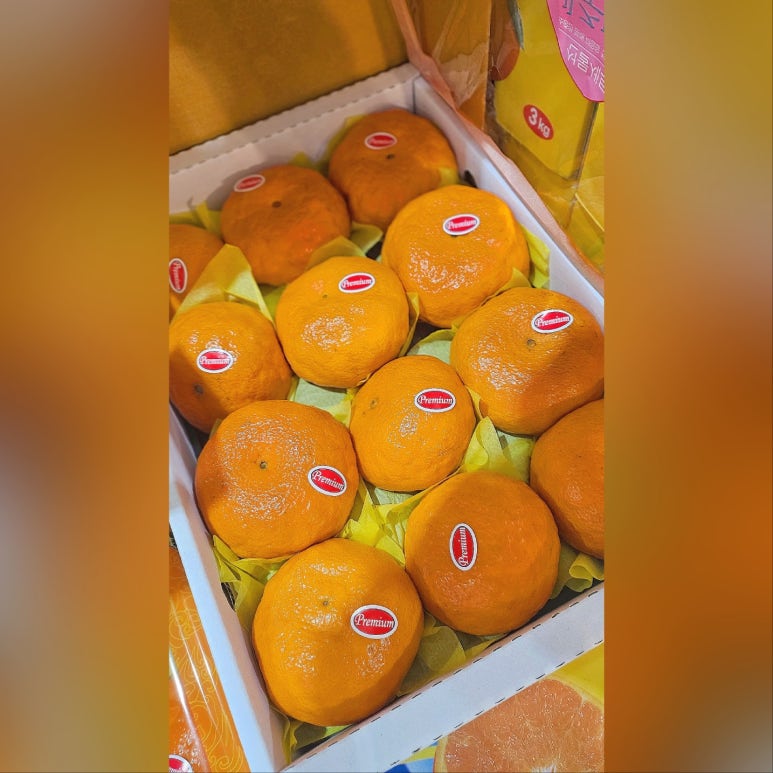단디청과 이미지