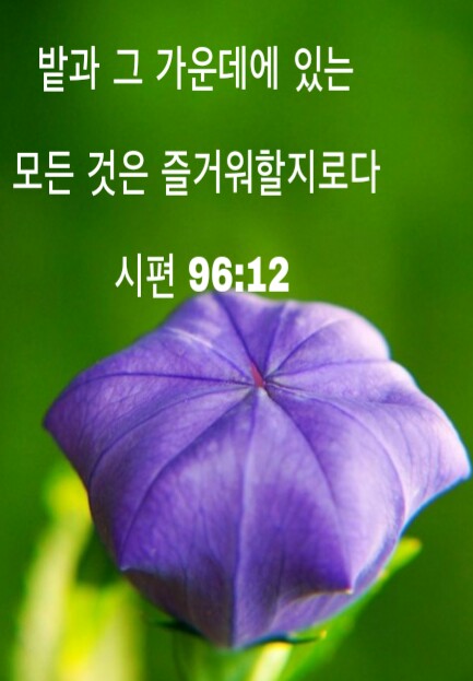 다복해 이미지