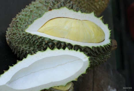 백과아시아마트 이미지