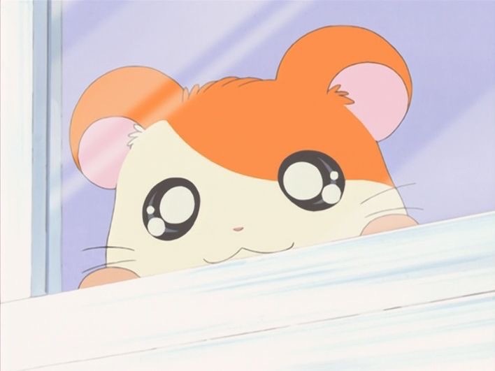 복이곱창 이미지