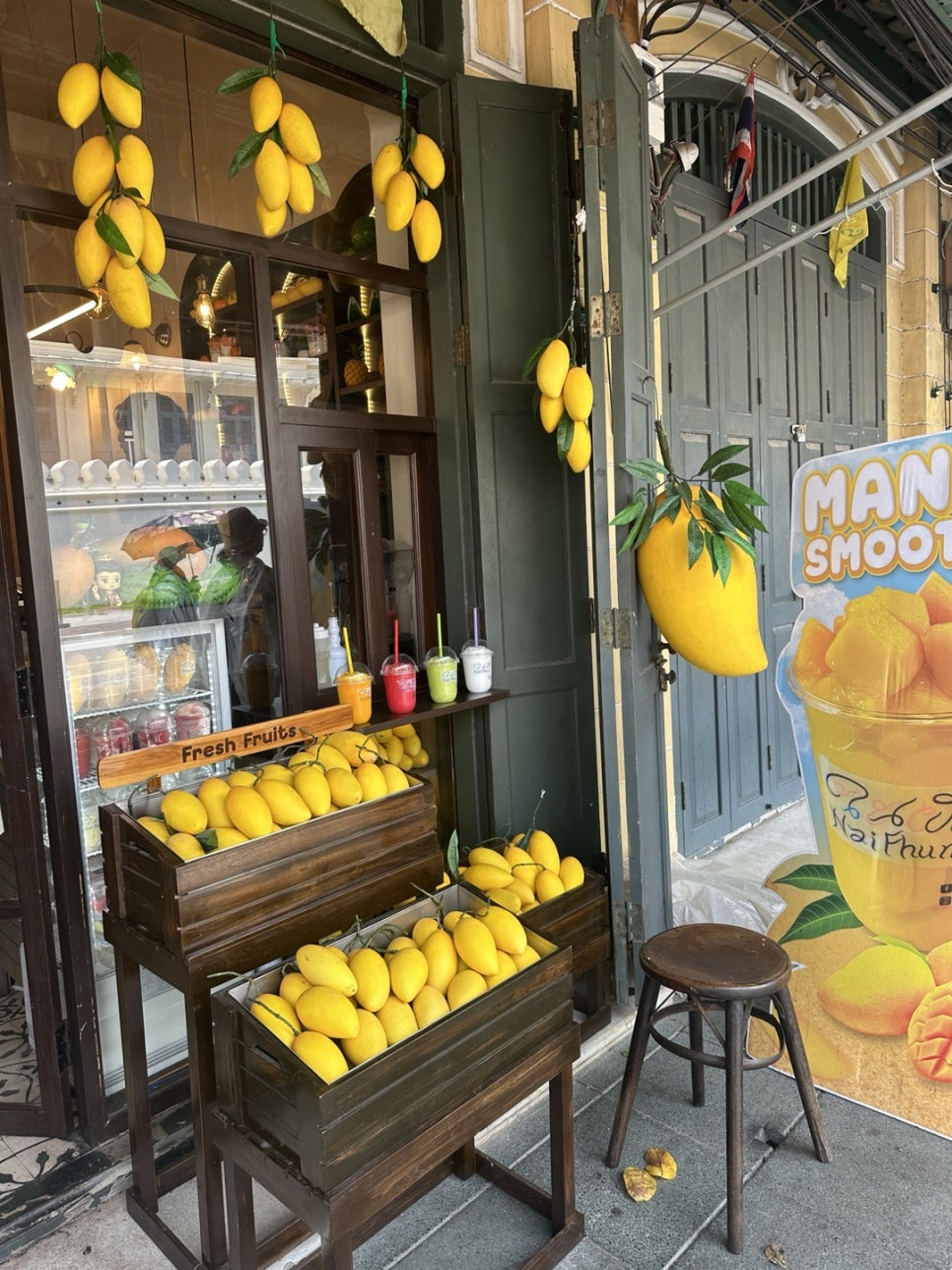 이지포인트 여행 이미지