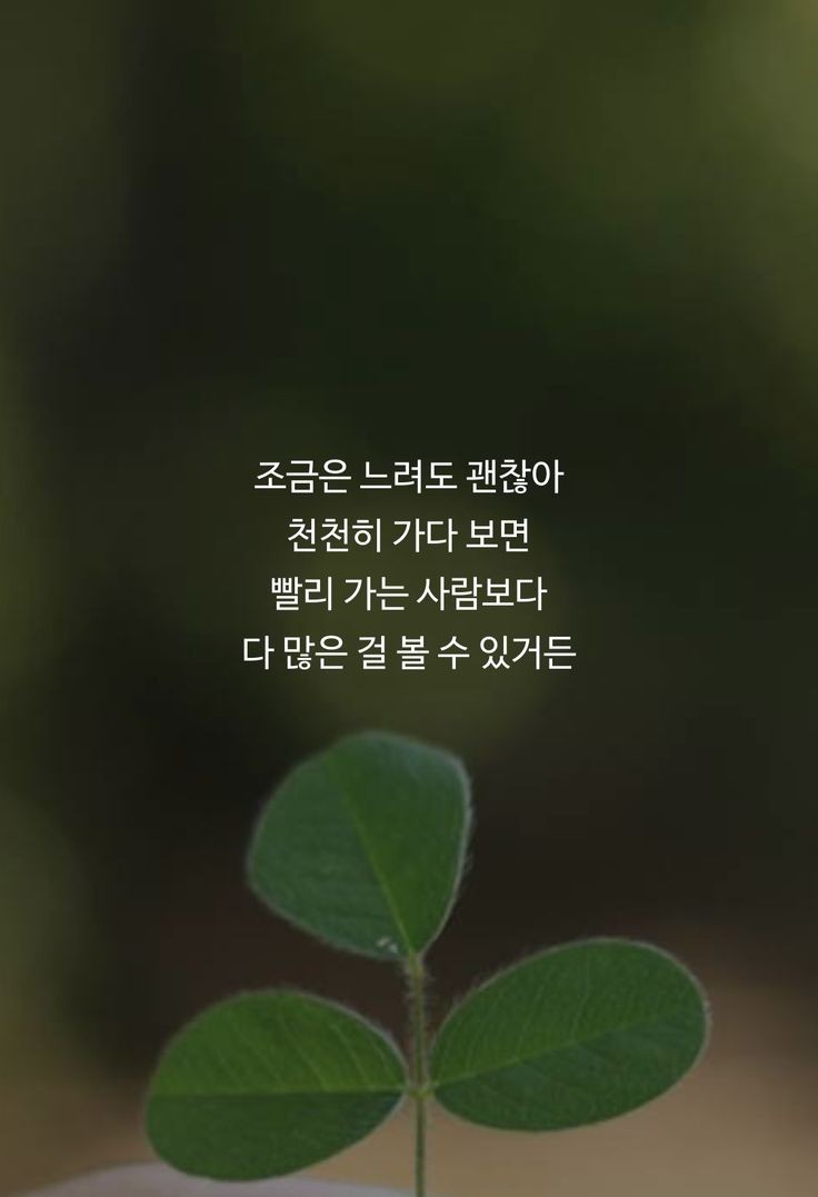 플렉스펜션 이미지