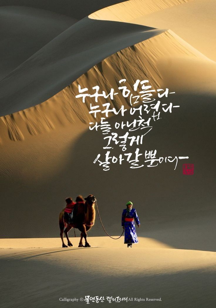 플렉스펜션 이미지