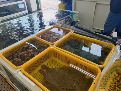 오라회센타 이미지