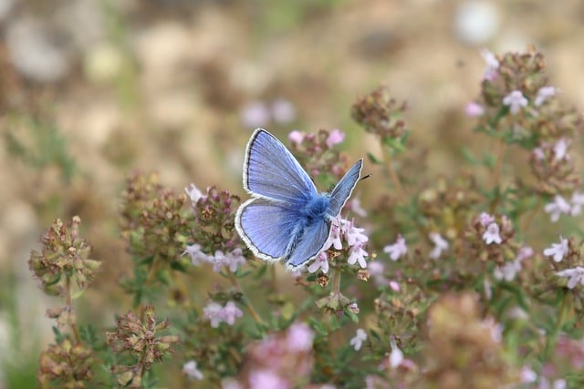 주차-061 이미지