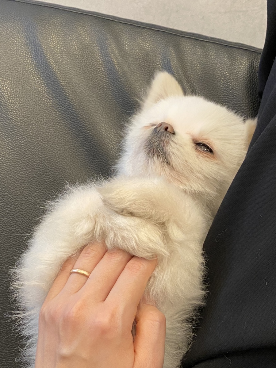 장싸롱 리저브 이미지