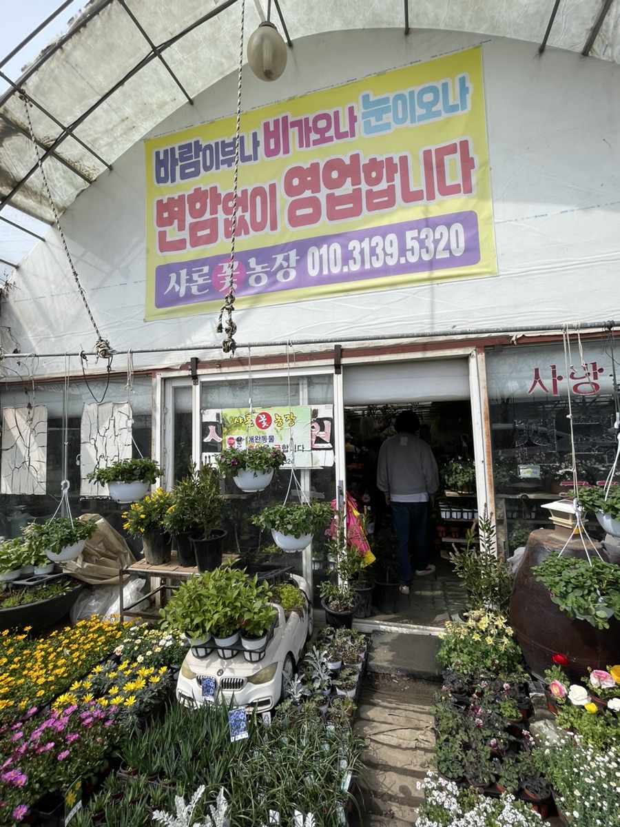 샤론꽃화원 이미지