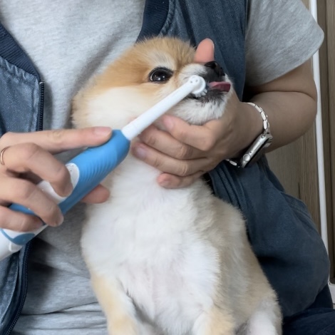 청려원 이미지