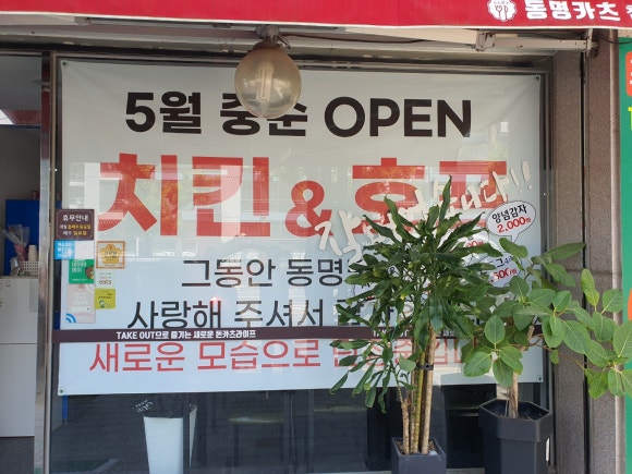 춘식이 통맥 이미지