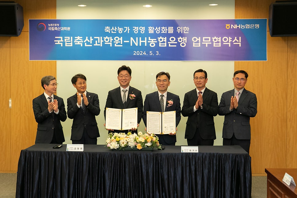 상호경영컨설팅 이미지