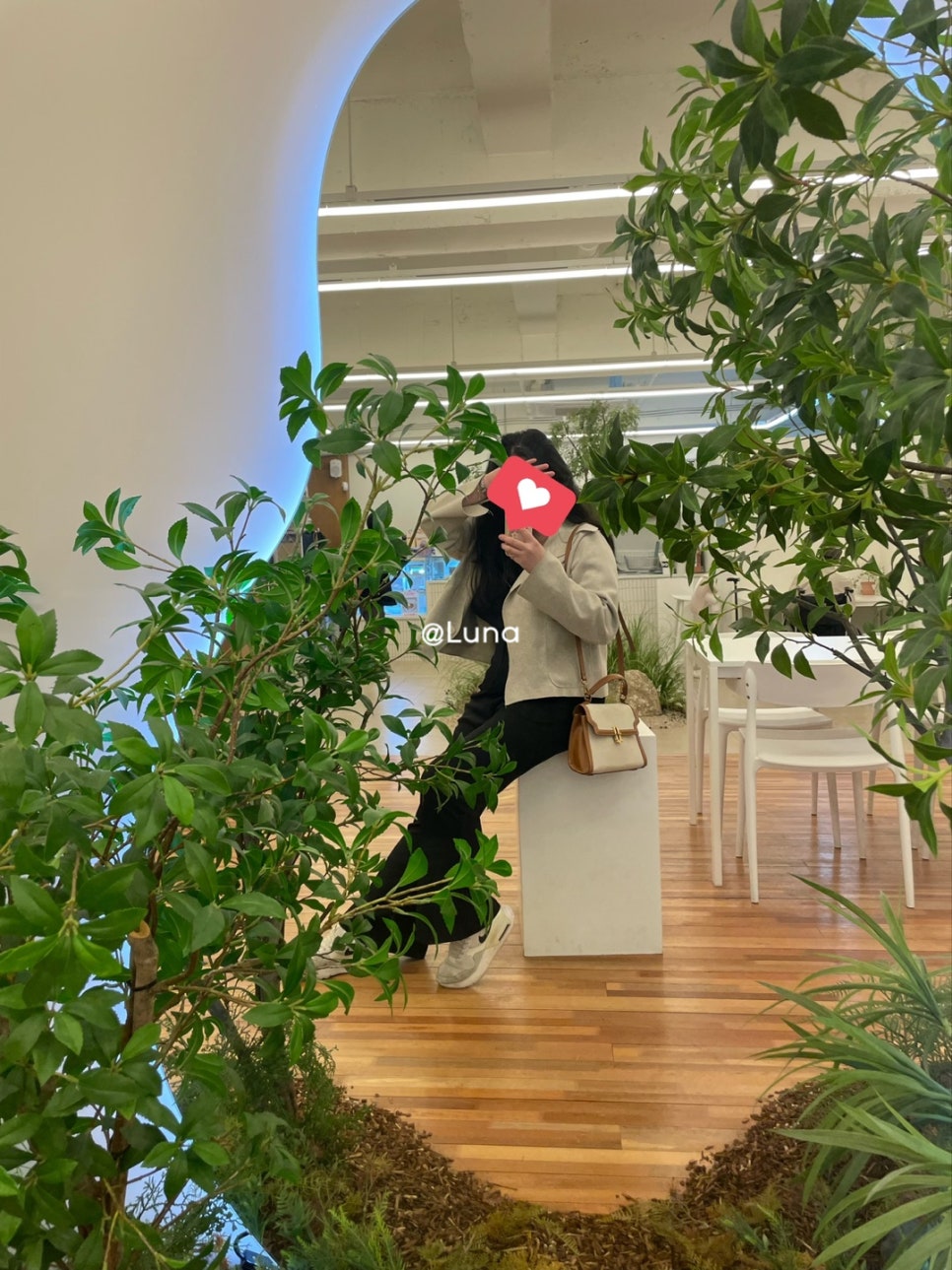 쿠키당 이미지