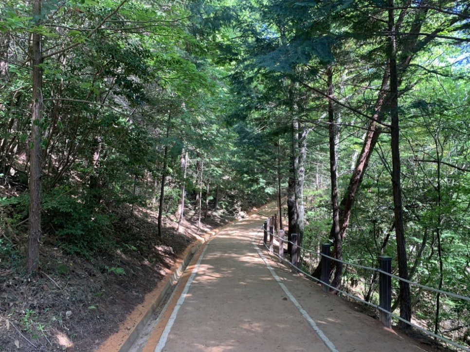 숲길발길 이미지