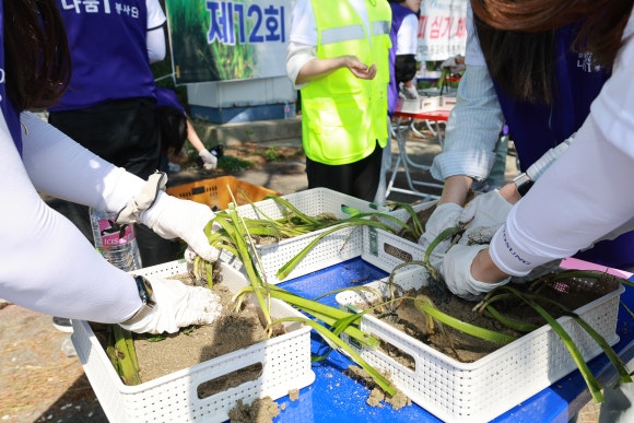 완도바다로 이미지