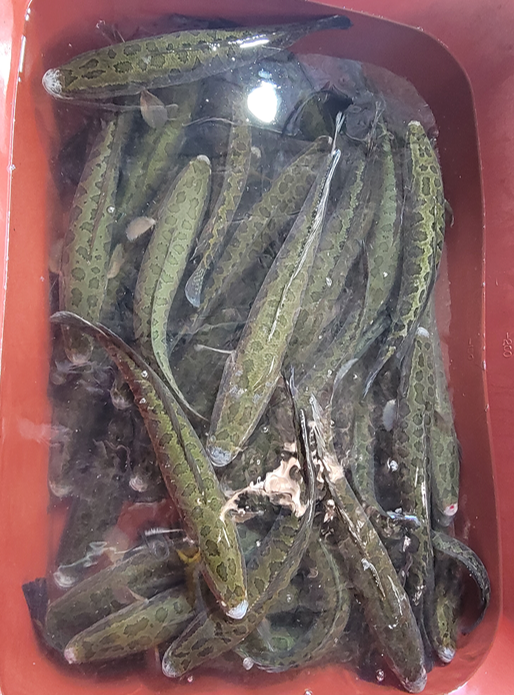 민물자연수산 이미지